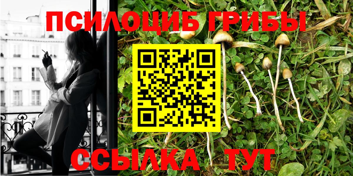 Вологда  Псилоцибиновые грибы мухоморы  Галлюциногенные грибы Psilocybe  Вход с VPN 