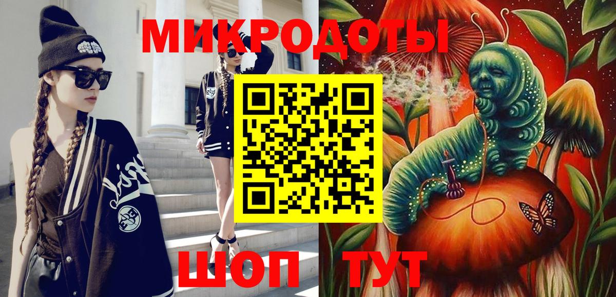 Галлюциногенные грибы Psilocybine cubensis Вологда